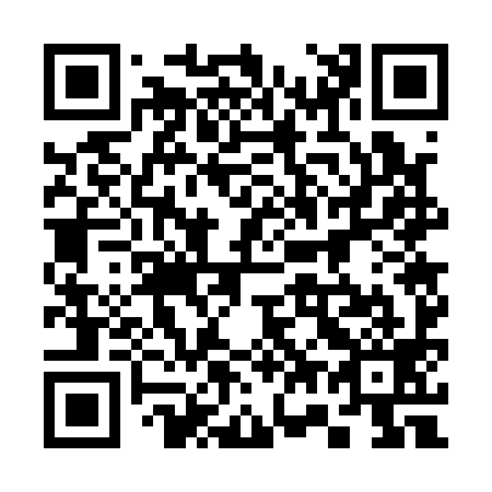 QR code for plate 377-199