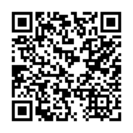 QR code for plate 377-233