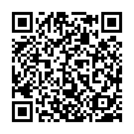 QR code for plate 378-538