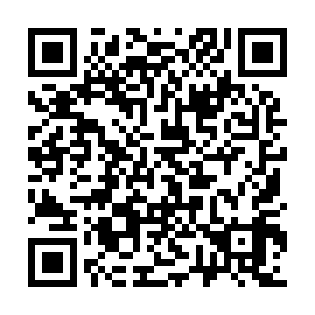 QR code for 379919