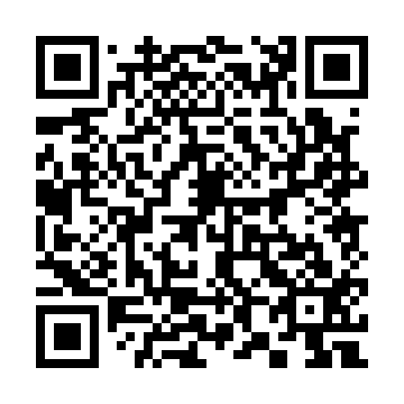 QR code for plate 380-113