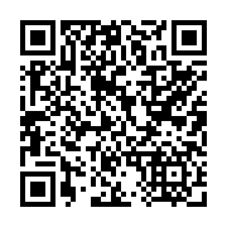 QR code for plate 380-287
