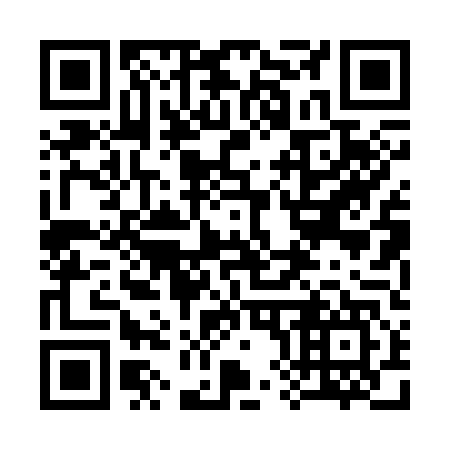 QR code for plate 380-347