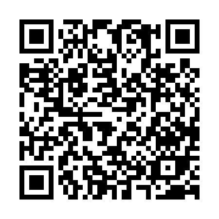 QR code for 38041