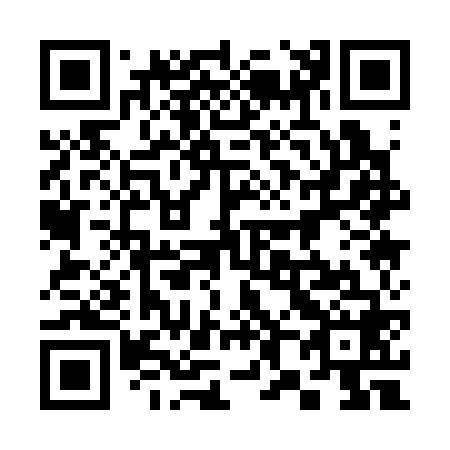 QR code for 381-368