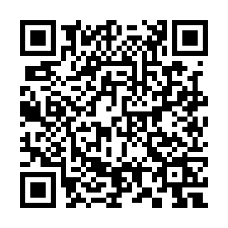 QR code for 3811