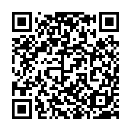 QR code for plate 381-251