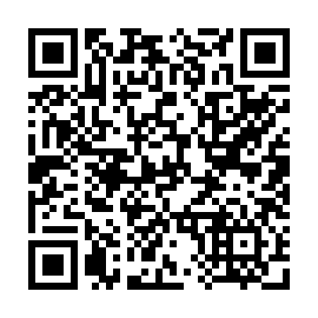 QR code for 381286