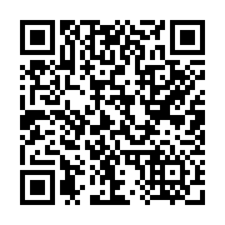 QR code for plate 381-376
