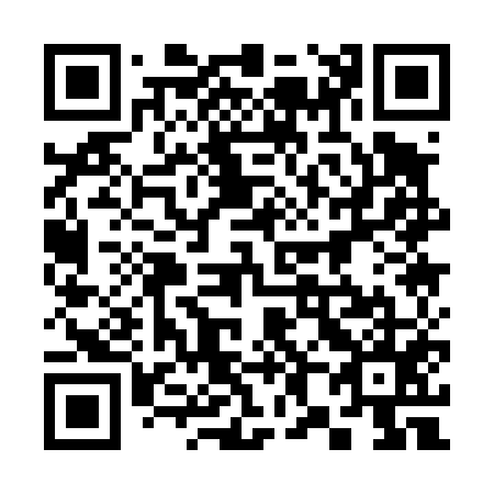 QR code for plate 381-455