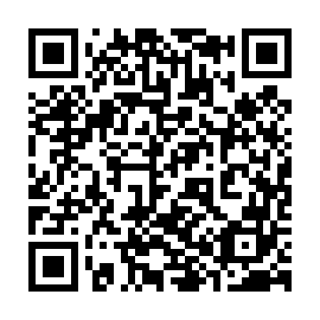 QR code for 381462