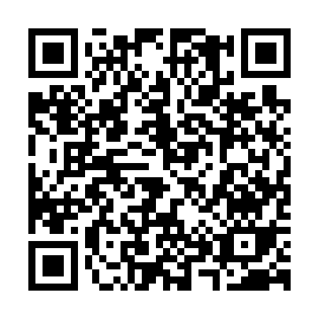 QR code for 38163