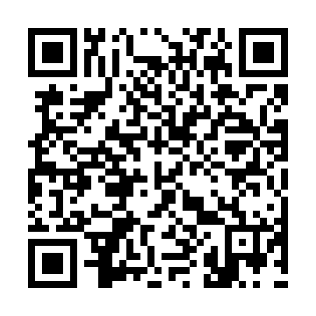 QR code for plate 381-666