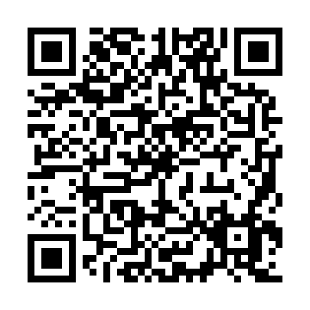 QR code for 38196
