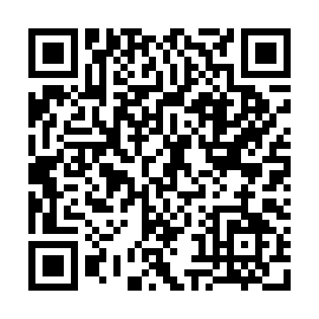 QR code for 38249