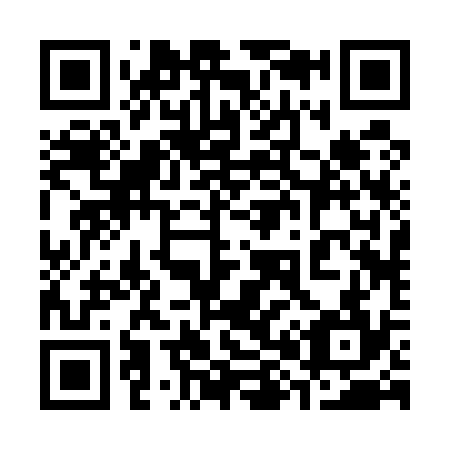 QR code for 382534