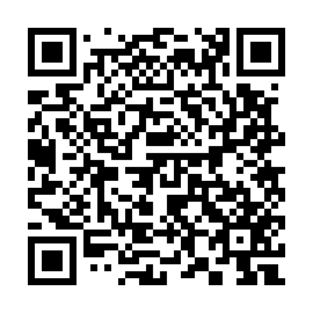 QR code for plate 382-557