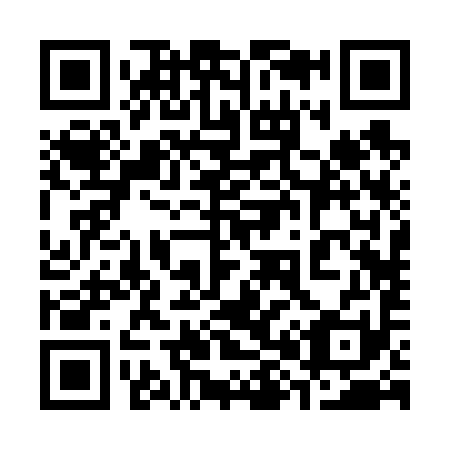 QR code for 382691