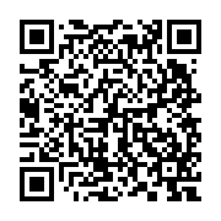 QR code for 382697