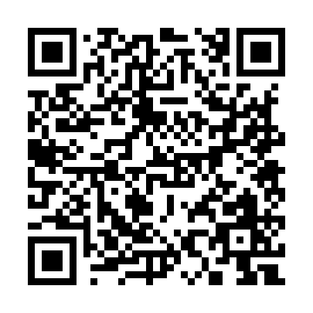QR code for 38291