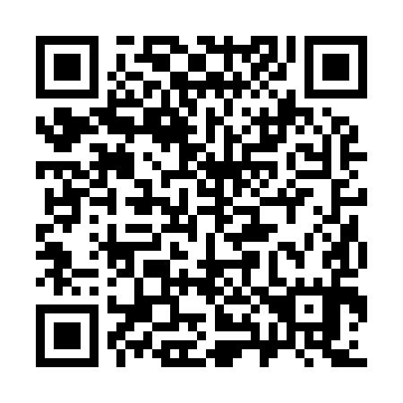 QR code for plate 382-995