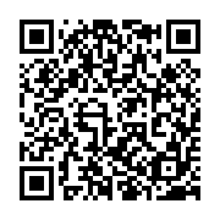 QR code for 383012