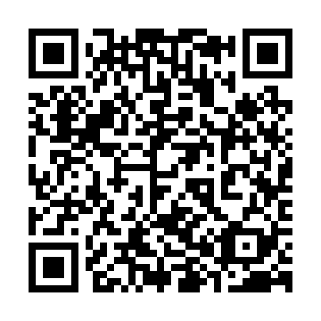 QR code for 383229