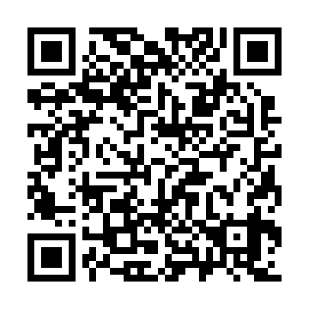 QR code for 383239