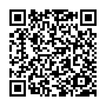QR code for 3833