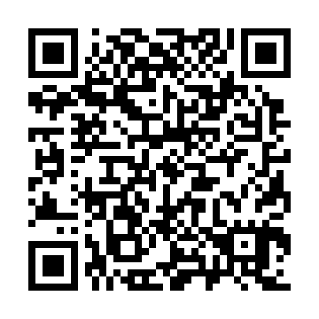 QR code for 383305