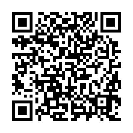 QR code for 383392
