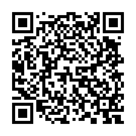 QR code for 383491