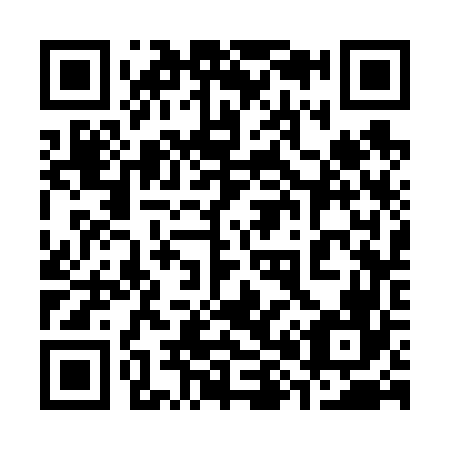 QR code for 383666
