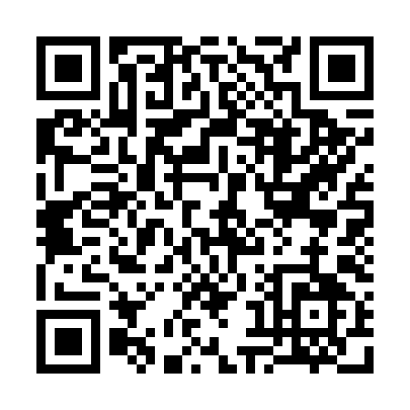 QR code for 38369