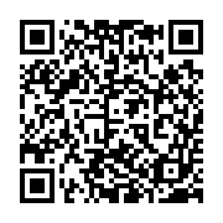 QR code for 383753