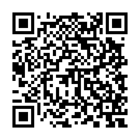 QR code for 384-005