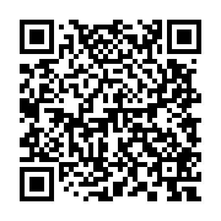 QR code for 384-509