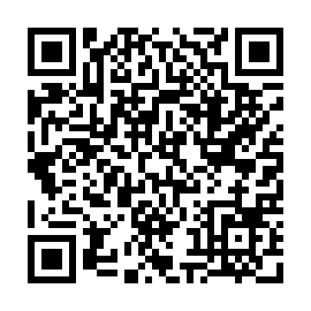QR code for 38412
