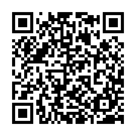 QR code for plate 384-144