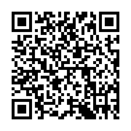 QR code for 38419