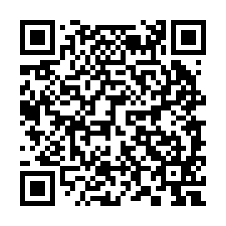 QR code for 384295