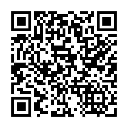 QR code for plate 384-346
