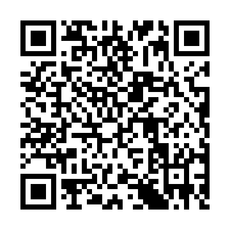 QR code for 38441