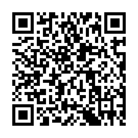 QR code for 38498