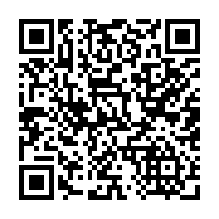 QR code for plate 385-915