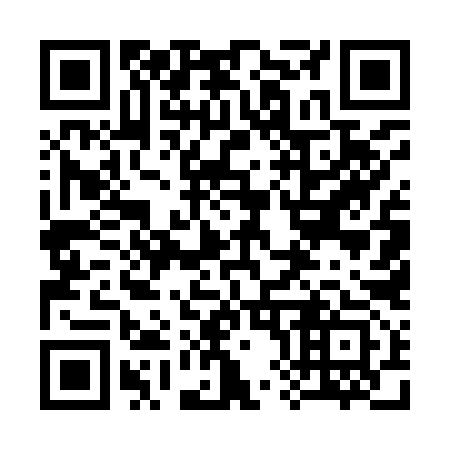 QR code for plate 385-993