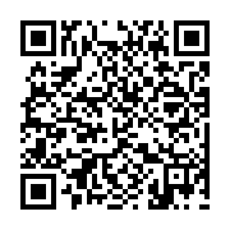 QR code for 386-787