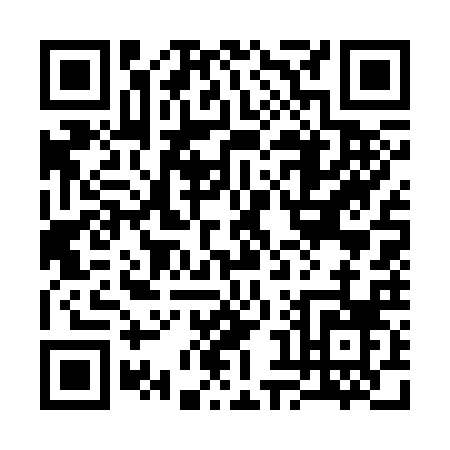 QR code for 38732