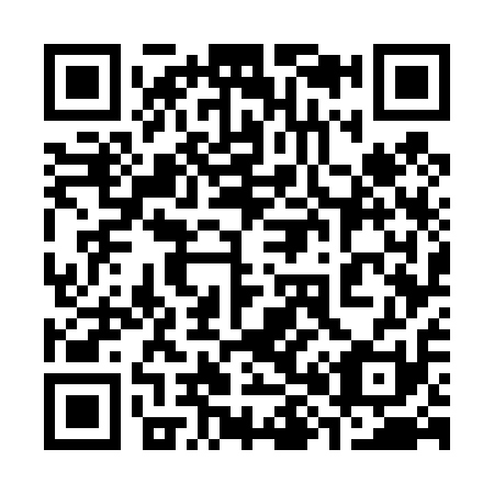 QR code for plate 387-411