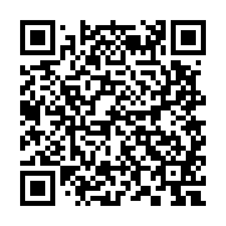 QR code for plate 387-581